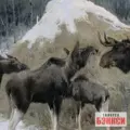 Картина Лоси - Алексей Степанов