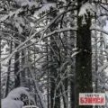 Картина Зима - Иван Шишкин